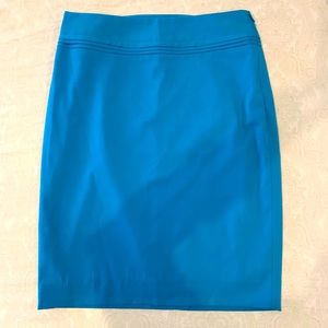 NWOT The Limited blue skirt